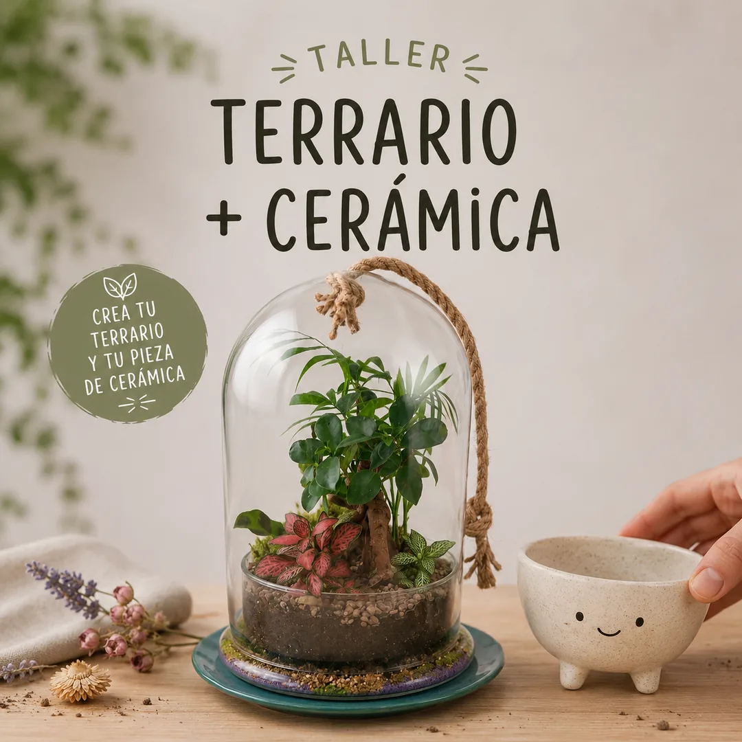 Taller de terrario y cerámica en Valladolid - CreArte, terrario de cristal con plantas junto a cuenco de cerámica